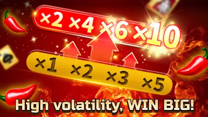Video Poker Machine